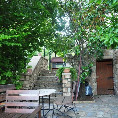Anemelia Διαμέρισμα